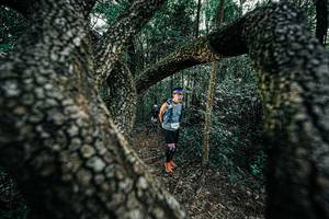 BIB: 
                            <button type="button" onclick="openModal(25392038)" class="btn btn-primary btn-sm float-right btn-popup" data-toggle="modal" data-target=".modal-high-quality">
                        <i class="fas fa-shopping-cart"></i> Add to Cart
                    </button>
                                            <button type="button" onclick="isThisMe(25392038, true)" class="btn btn-success btn-sm float-right btn-popup btn-isme hidden" data-toggle="tooltip" data-placement="bottom" title="นี่คือรูปของคุณใช่ไหม คลิกที่นี่เพื่อเอาเข้าอัลบั้ม">
                        <i class="fas fa-plus"></i> Add to album
                    </button>
                    <button type="button" onclick="isThisMe(25392038, false)" class="btn btn-warning btn-sm float-right btn-popup btn-isnotme hidden">
                        <i class="fas fa-ban"></i> Remove from album
                    </button>